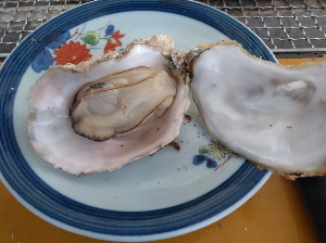 マルモ水産の牡蠣が焼けました